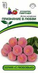 Астра Признание в любви