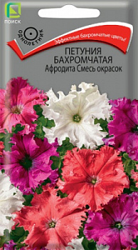 petunia_bahrom_afrodita_smes_okrasok