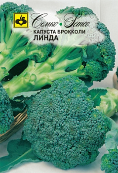 kapusta_brokkoli_linda