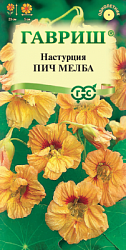 Настурция Пич Мелба
