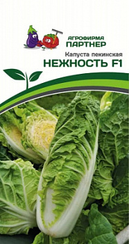 Капуста пек нежность