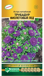 Астра ТРУБАДУР Фиолетовый Лед