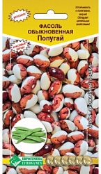 Попугай