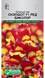 Снэпшот