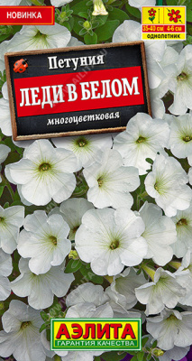 Петуния леди в белом