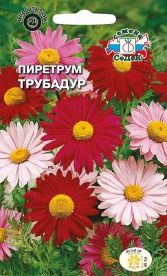 Пиретрум Трубадур