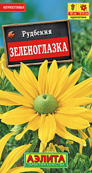 Рудбекия Зеленоглазка_ЦП
