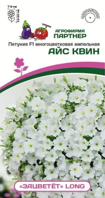 Петуния айс квин