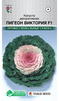Капуста декоративная Пигеон Виктория