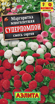 Маргаритка Суперпомпон, смесь сортов_ЦП
