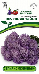 астра вечерняя тайна