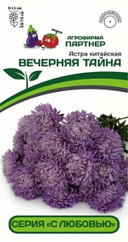 астра вечерняя тайна