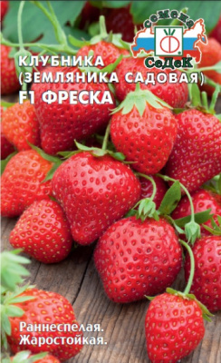 klubnika_zemlyanika_sadovaya_freska_f1