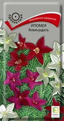 ipomea_letnyaya_radost