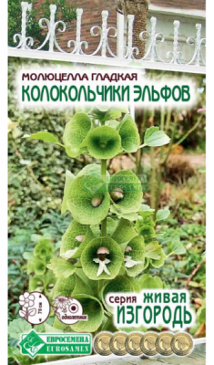 Молюцелла Колокольчики Эльфов
