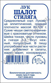 Стиляга