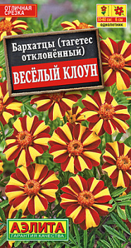 Бархатцы Веcелый клоун отклоненные_ЦП