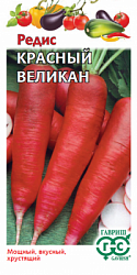 Редис Красный великан
