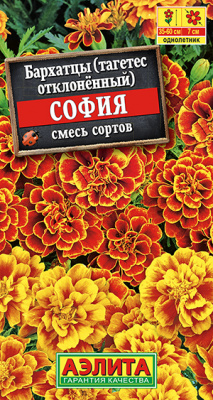 Бархатцы София отклоненные, смесь сортов_ЦП