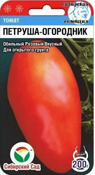 Петруша