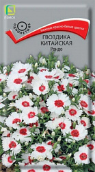 Гвоздика Китайская Рондо