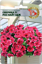 Петуния сферика роз вайт