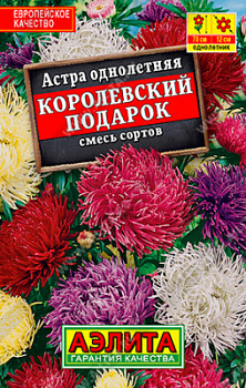 Астра Королевский подарок лидер