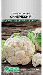 Капуста цветная Синердж