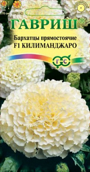 Килиманджаро