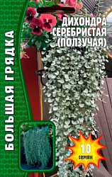 Дихондра