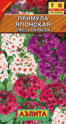 Примула японская, смесь окрасок_ЦП