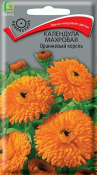 kalendula_mahrov_orange_king