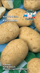 kartofel_ausoniya