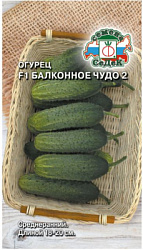 ogurets_balkonnoe_chudo_2_f1