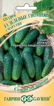 Огурец Зеленые гномики автор