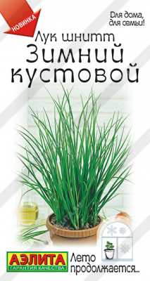 Лук Зимний кустовой