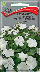 katarantus_ampelnyy_mediterranean_vayt