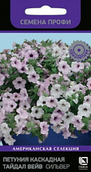 petunia_kaskadnaya_taidal_wave_silver
