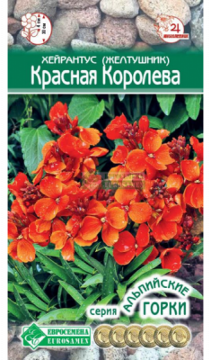 Хейрантус (Желтушник) Красная Королева