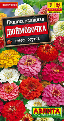 Цинния Дюймовочка