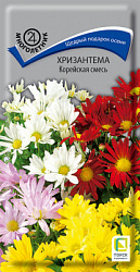 hrizantema_koreyskaya_smes
