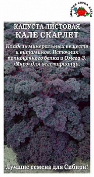 00000011684_1
