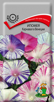 Ипомея Карнавал в Венеции