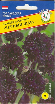 Василек черный шар