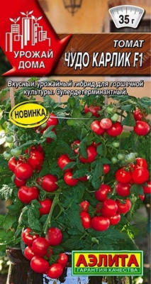 Чудо карлик