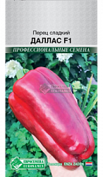 Перец сладкий Даллас