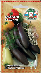 baklazhan_esaul_f1