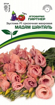 Эустома мадам шанталь