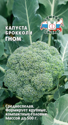 kapusta_gnom