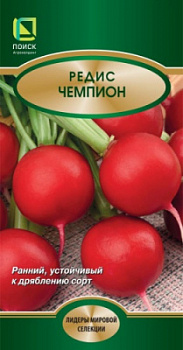 redis_champion